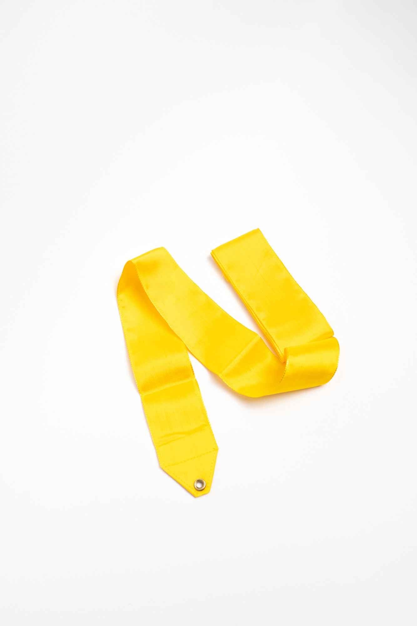 Ruban de gymnastique rythmique « ProSilk RG » 6m (9 coloris)