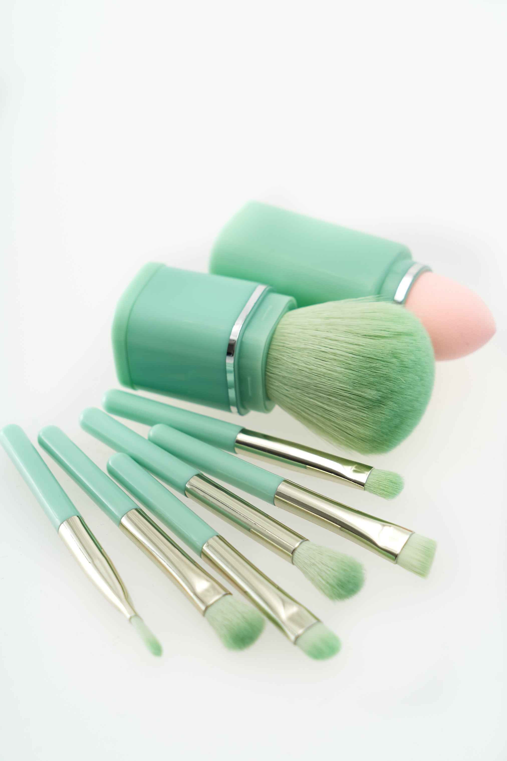 Set de pinceaux de maquillage avec étui (2 couleurs)